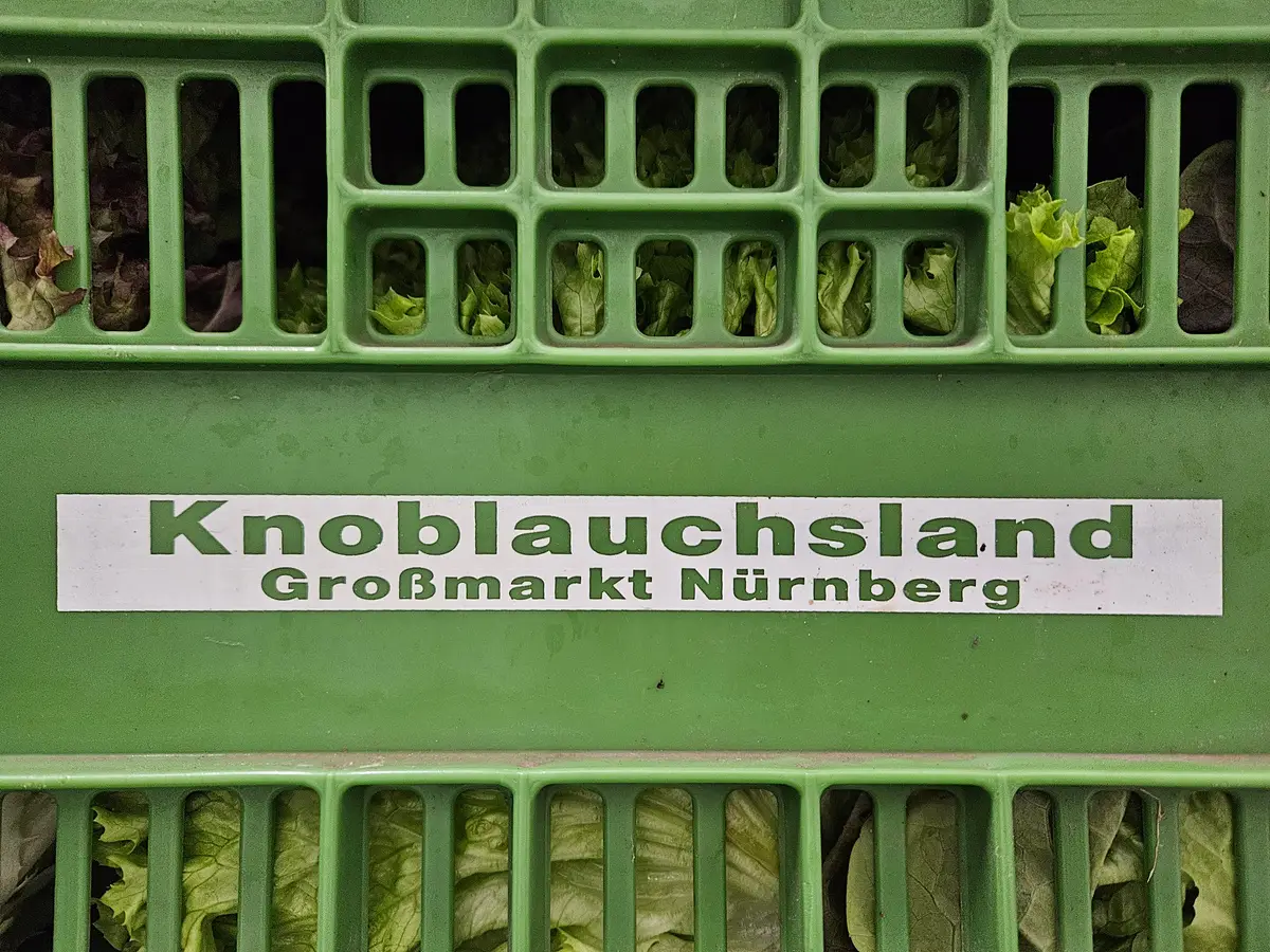 Knoblauchsland