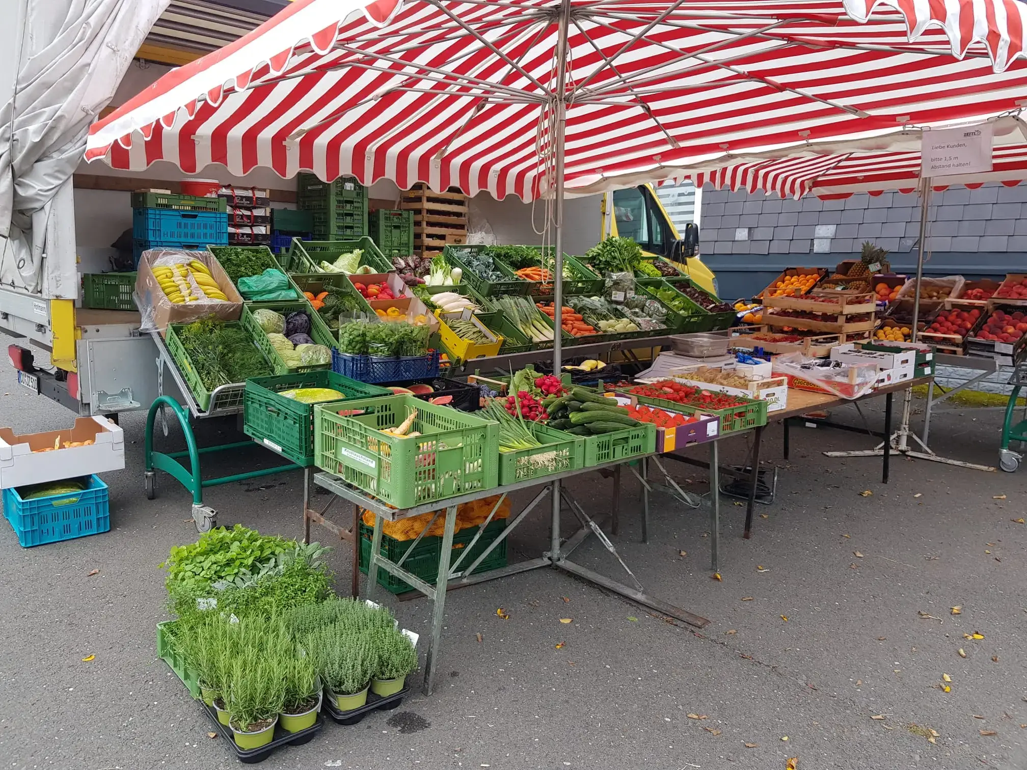 Zettl Marktstand in Neuhaus am Rennweg mit frischem Obst und Gemüse